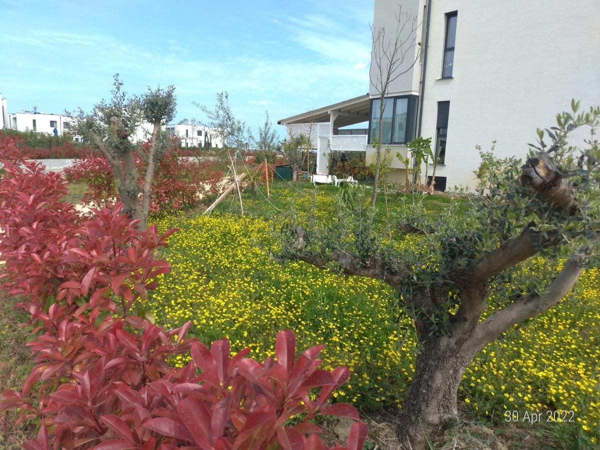 Welcome Beach Apartment Hamallaj Bagian luar foto